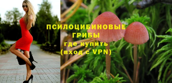 мдма Киреевск